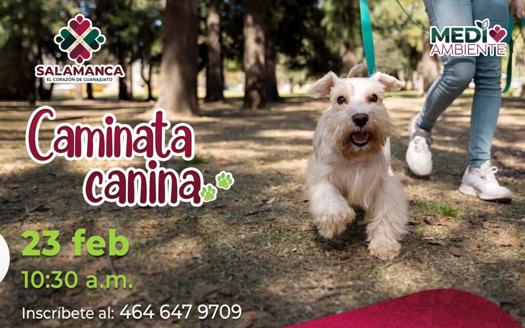 Realizará Salamanca "Caminata Canina" | Salamanca Municipio