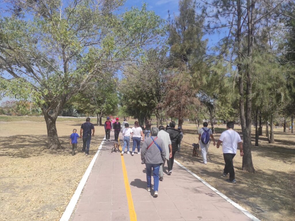 Salamanca trabaja a favor del medio ambiente