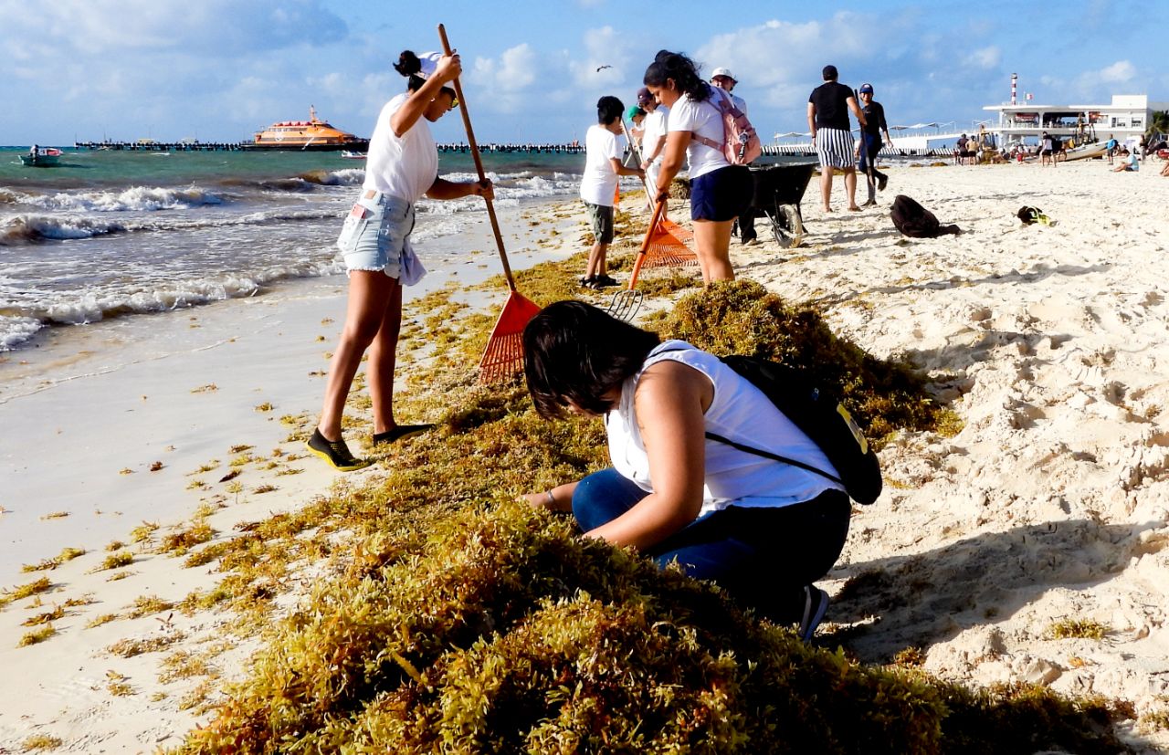 Gobierno intensifica limpieza de playas – H. Ayuntamiento de Solidaridad