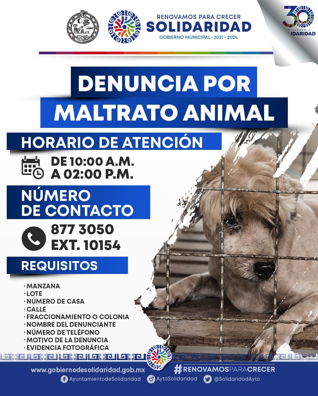 En Solidaridad se castiga el maltrato animal – H. Ayuntamiento de Solidaridad