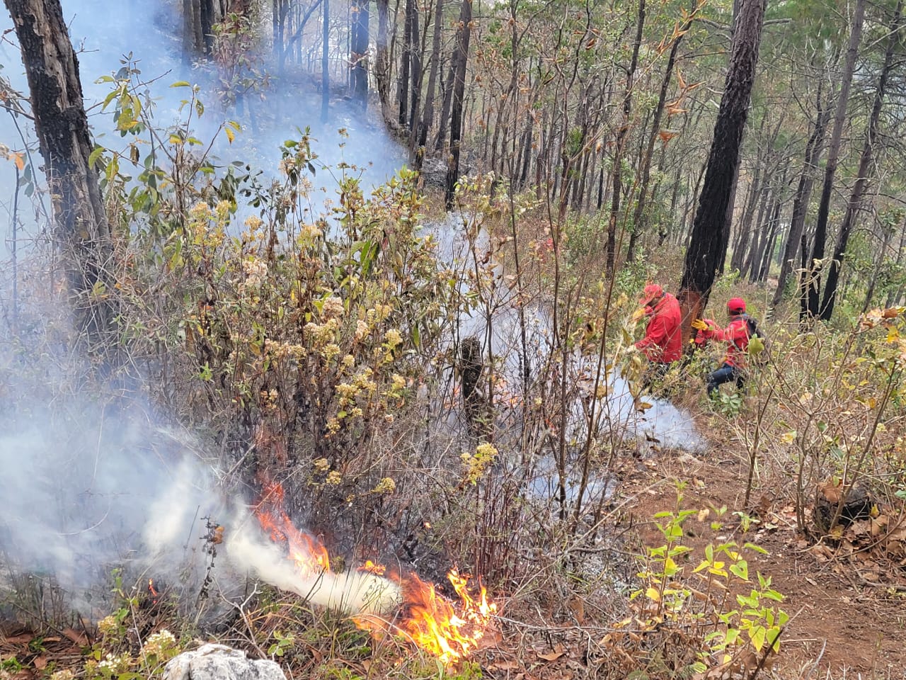 CUERPOS DE AUXILIO DE SCLC ATIENDEN LLAMADO DE INCENDIO FORESTAL – H. Ayuntamiento de San Cristóbal de Las Casas