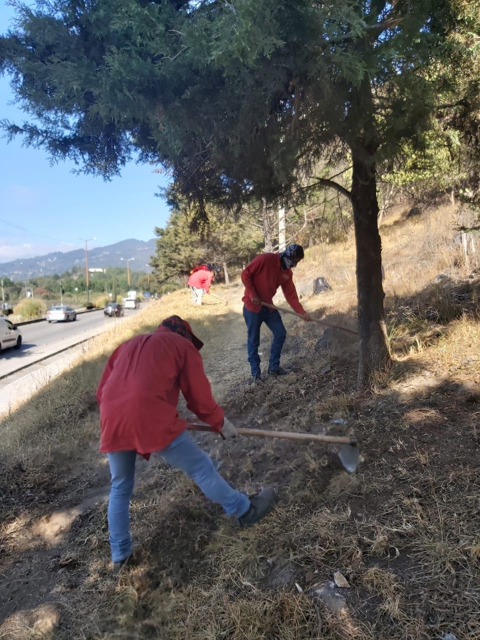 LA DIRECCIÓN DE ECOLOGÍA Y MEDIO AMBIENTE COMENZÓ CON ACCIONES PREVENTIVAS DE INCENDIOS FORESTALES. – H. Ayuntamiento de San Cristóbal de Las Casas