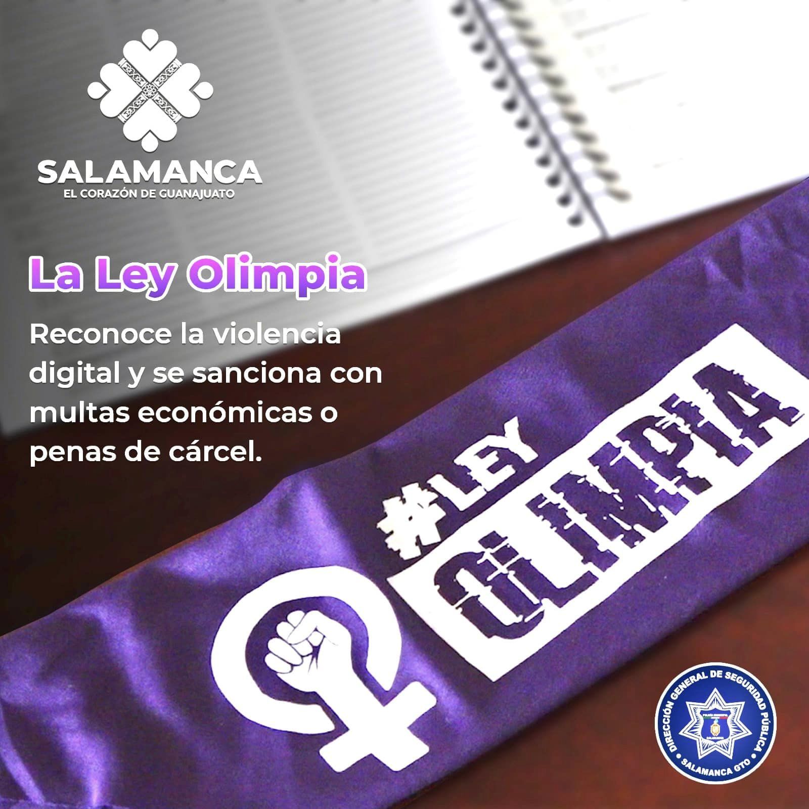 Seguridad Pública de Salamanca alerta sobre acoso virtual.
