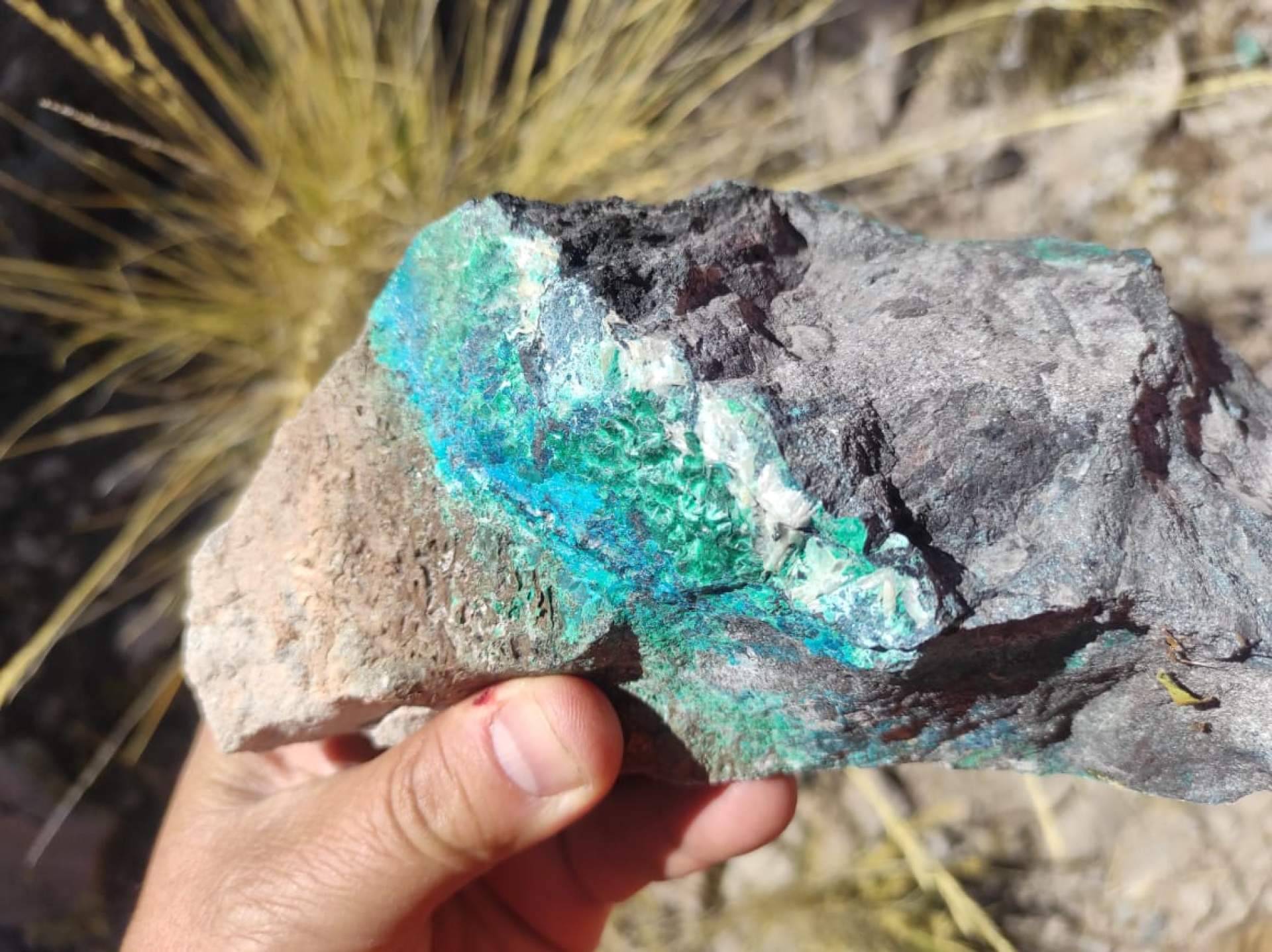 Destacado médico chileno preside el directorio de inversión en pequeña minería en Latinoamérica