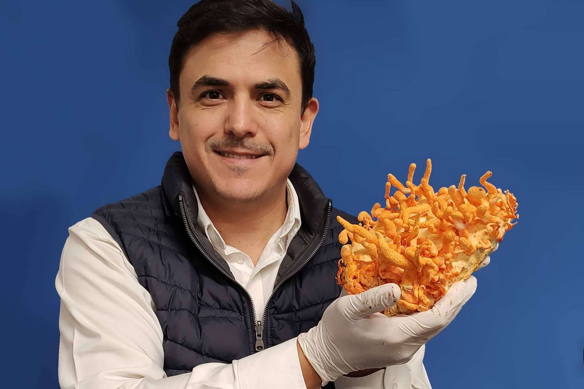'Entre Hongos', el podcast de referencia sobre hongos en el ámbito académico mexicano